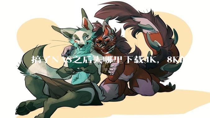 搞了NAS之后去哪里下载4K，8K的电影？