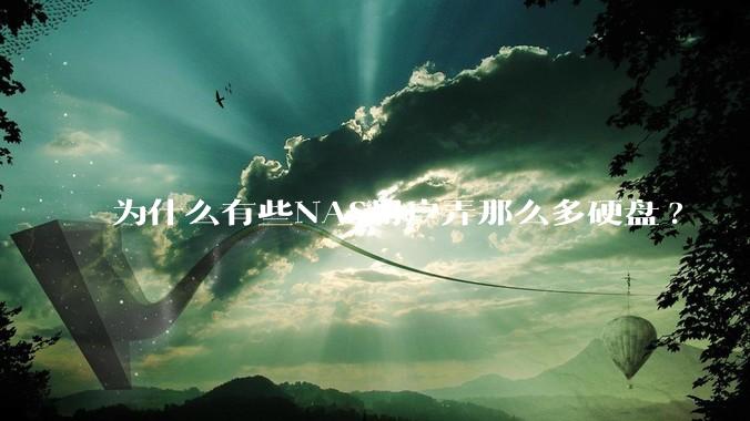 为什么有些NAS用户弄那么多硬盘?