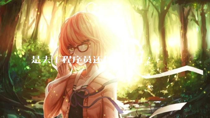 是去干程序员还是公务员?