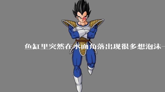 鱼缸里突然在水面角落出现很多想泡沫一样的气泡是怎么回事？