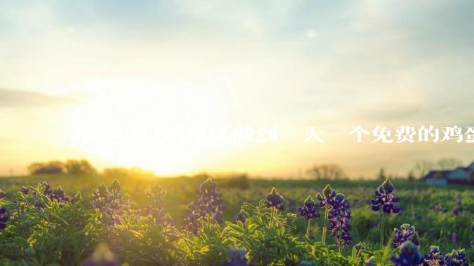养多少只鸡可以做到一天一个免费的鸡蛋？