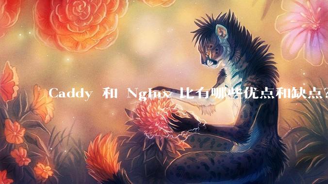 Caddy 和 Nginx 比有哪些优点和缺点？