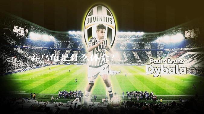 养乌龟是什么体会？