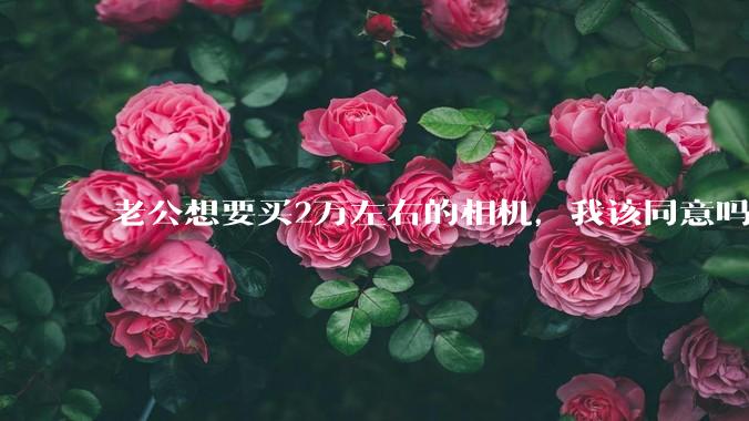 老公想要买2万左右的相机，我该同意吗？