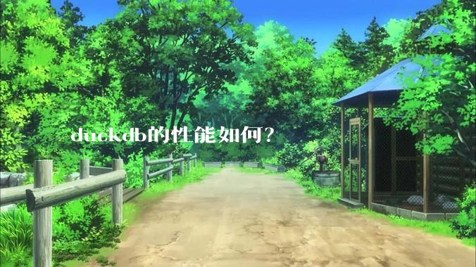 duckdb的性能如何？