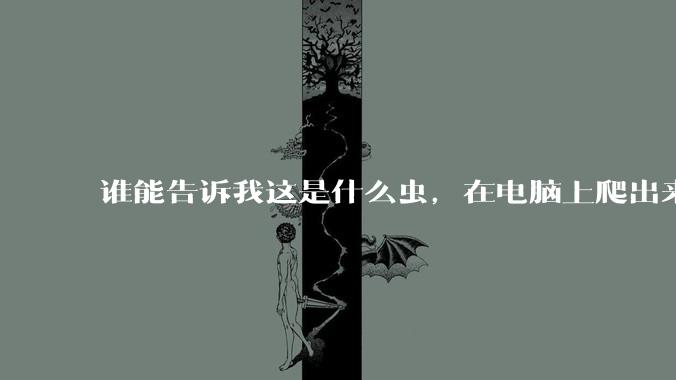 谁能告诉我这是什么虫，在电脑上爬出来吓死我了 ?