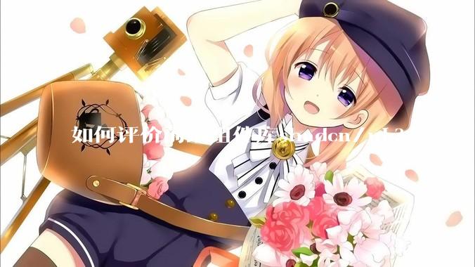 如何评价前端组件库shadcn/ui?