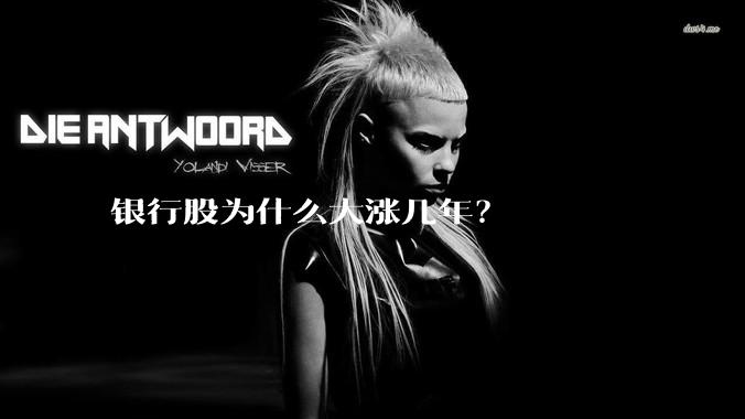 银行股为什么大涨几年？